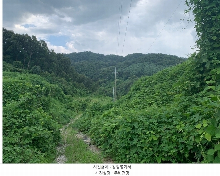 2024타경2410 강원특별자치도 원주시 소초면 의관리 78 농지 경매 이미지