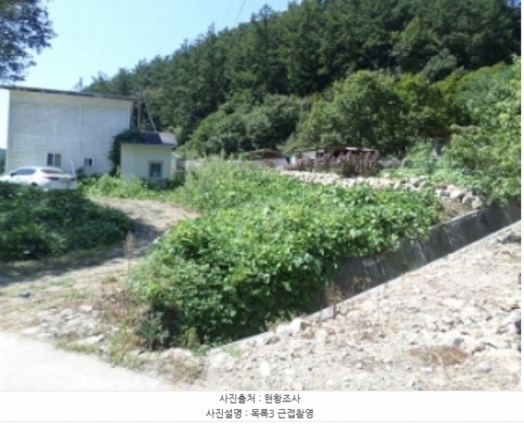 2024타경2632 강원특별자치도 횡성군 청일면 신대리 219-1 주택 경매 이미지
