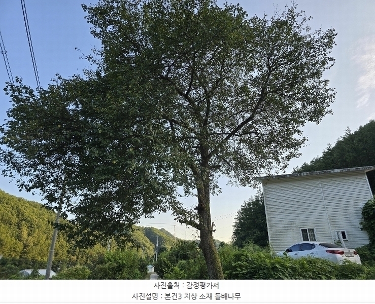 2024타경2632 강원특별자치도 횡성군 청일면 신대리 219-1 주택 경매 이미지
