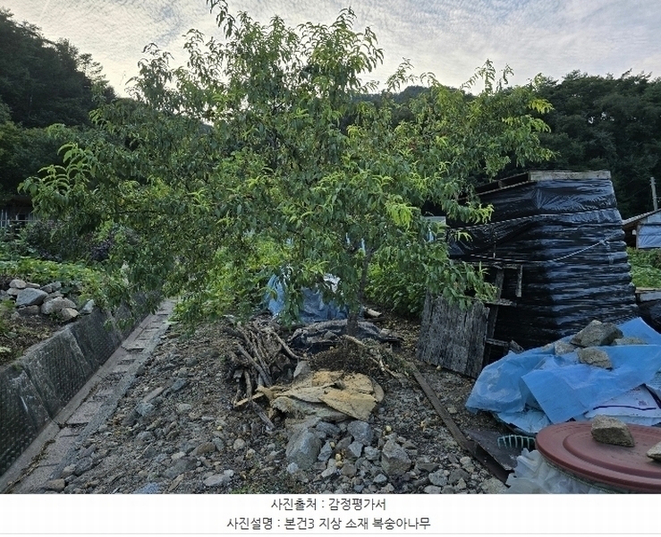 2024타경2632 강원특별자치도 횡성군 청일면 신대리 219-1 주택 경매 이미지