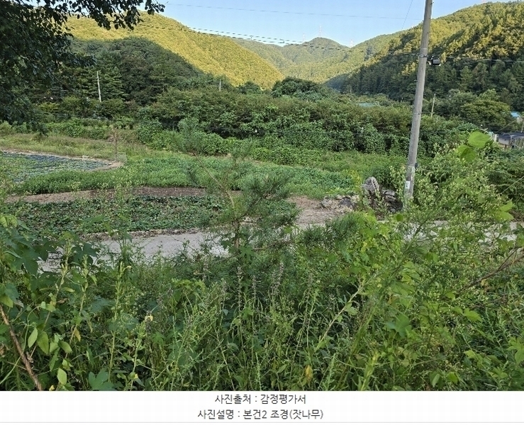 2024타경2632 강원특별자치도 횡성군 청일면 신대리 219-1 주택 경매 이미지