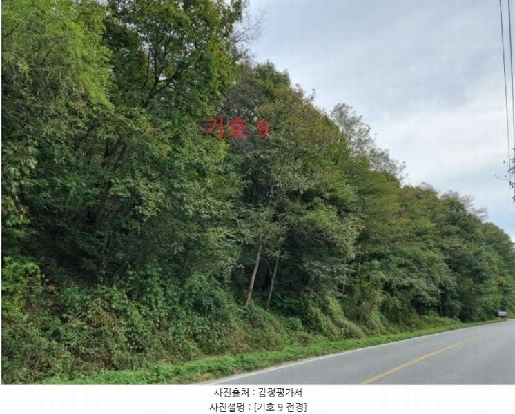 2024타경2830 강원특별자치도 원주시 문막읍 비두리 382-2 도로 경매 이미지