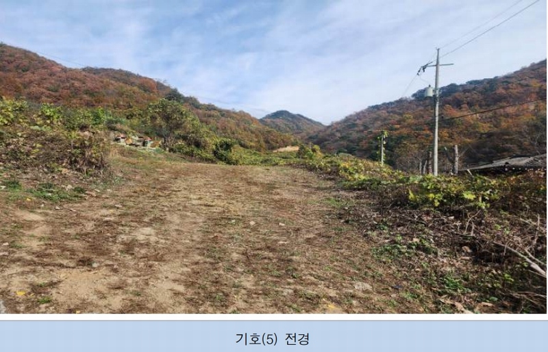 2024타경3000 강원특별자치도 횡성군 우천면 오원리 238 농지 경매 이미지