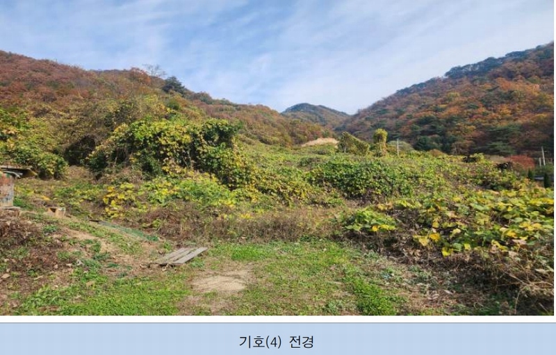 2024타경3000 강원특별자치도 횡성군 우천면 오원리 238 농지 경매 이미지