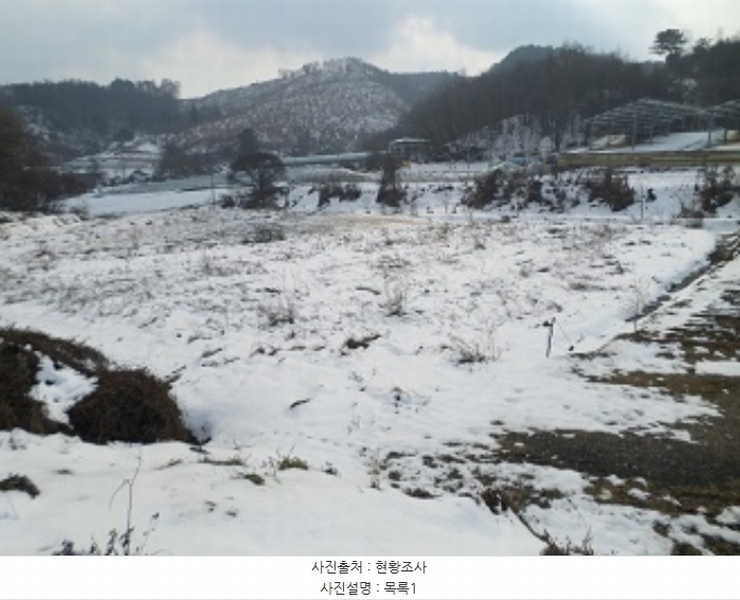 2024타경3284 강원특별자치도 횡성군 안흥면 소사리 928-4 농지 경매 이미지