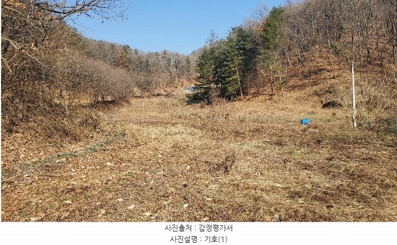 2024타경3369 강원특별자치도 횡성군 서원면 창촌리 697 농지 경매 이미지