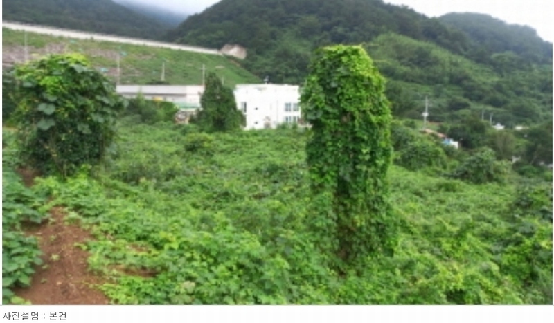 2024타경3505 경상남도 통영시 욕지면 동항리 851-2 농지 경매 이미지