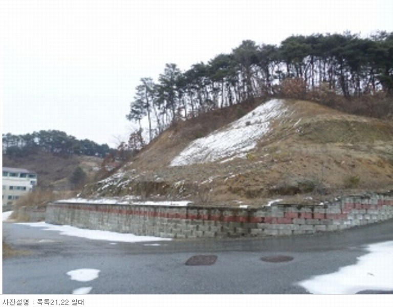 2024타경400106 강원특별자치도 원주시 판부면 서곡리 산103-19 임야 경매 이미지