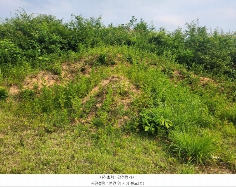 2024타경401680 강원특별자치도 원주시 호저면 광격리 산77 임야 경매 이미지