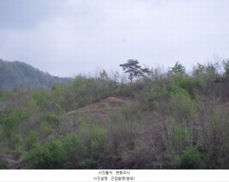 2024타경401680 강원특별자치도 원주시 호저면 광격리 산77 임야 경매 이미지