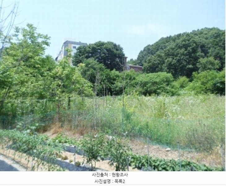2024타경402942 강원특별자치도 원주시 소초면 장양리 1295-18 농지 경매 이미지