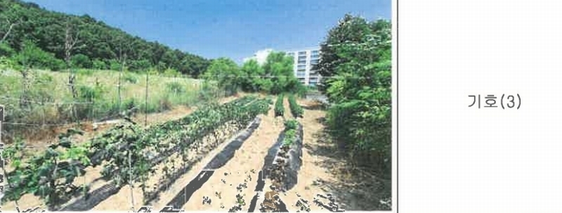 2024타경402942 강원특별자치도 원주시 소초면 장양리 1295-18 농지 경매 이미지
