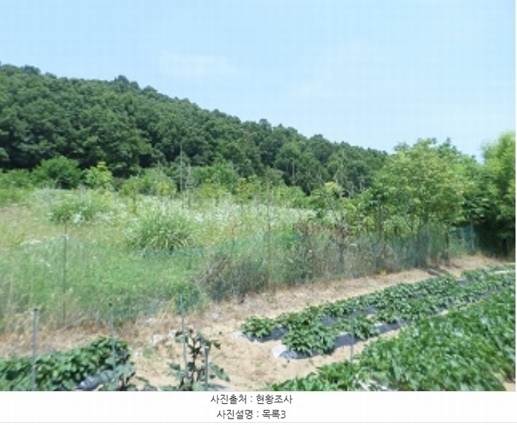 2024타경402942 강원특별자치도 원주시 소초면 장양리 1295-18 농지 경매 이미지