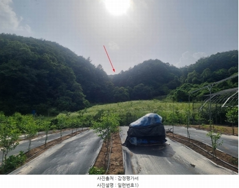 2024타경403167 강원특별자치도 원주시 문막읍 비두리 282 농지 경매 이미지