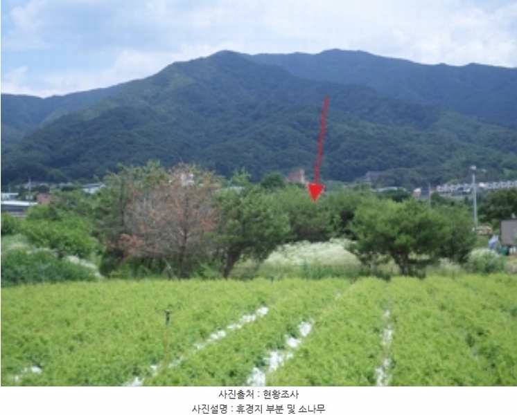 2024타경403402 강원특별자치도 원주시 행구동 615-4 농지 경매 이미지