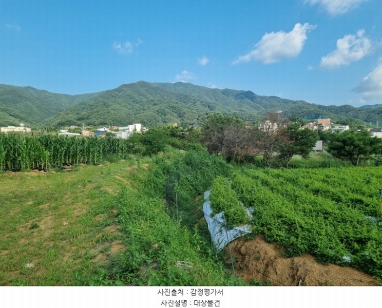 2024타경403402 강원특별자치도 원주시 행구동 615-4 농지 경매 이미지