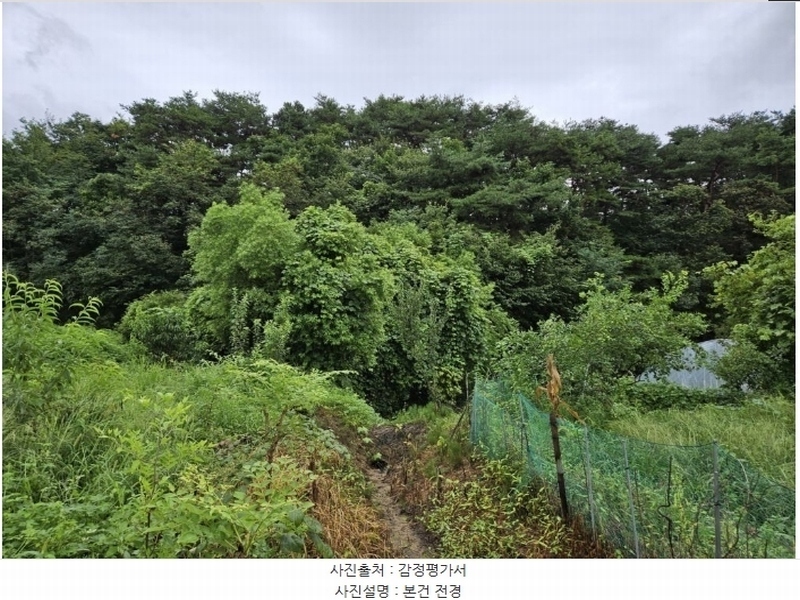 2024타경403945 강원특별자치도 원주시 행구동 463-6 임야 경매 이미지