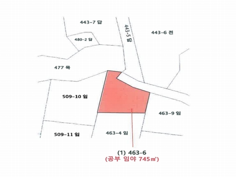 2024타경403945 강원특별자치도 원주시 행구동 463-6 임야 경매 이미지