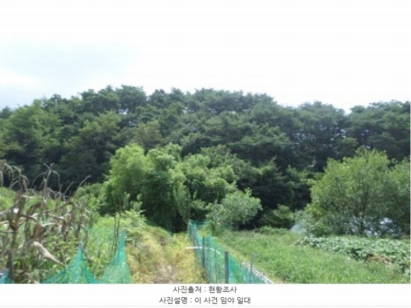 2024타경403945 강원특별자치도 원주시 행구동 463-6 임야 경매 이미지