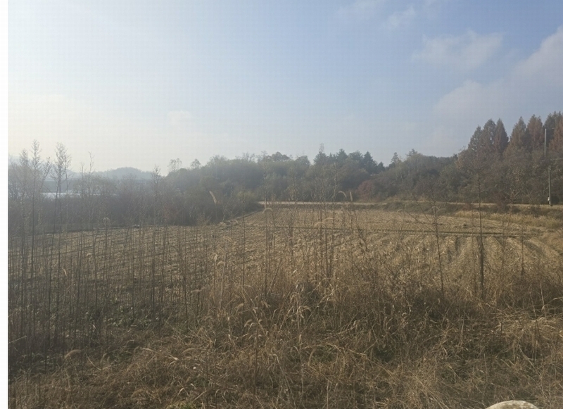2024타경406050 강원특별자치도 원주시 호저면 만종리 508-9 농지 경매 이미지