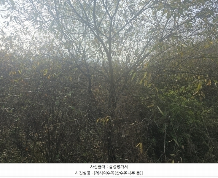 2024타경406050 강원특별자치도 원주시 호저면 만종리 508-9 농지 경매 이미지