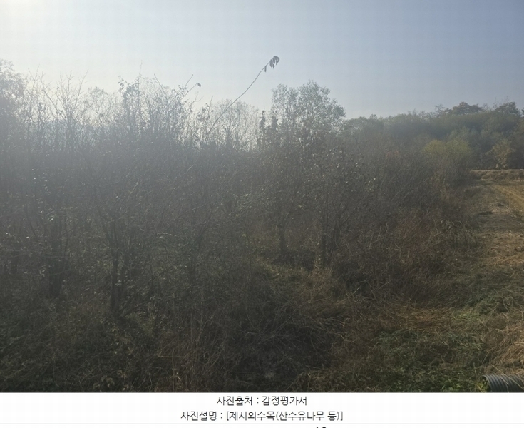 2024타경406050 강원특별자치도 원주시 호저면 만종리 508-9 농지 경매 이미지