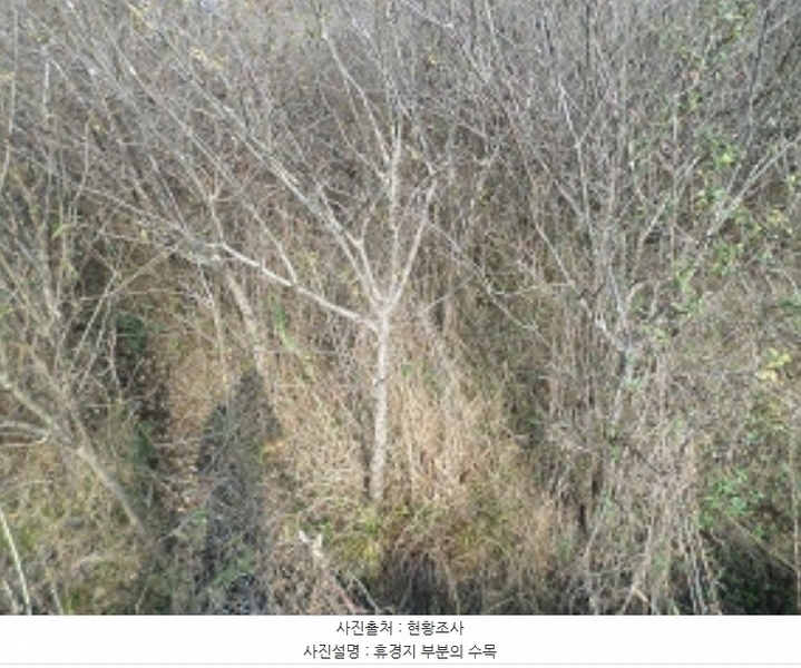 2024타경406050 강원특별자치도 원주시 호저면 만종리 508-9 농지 경매 이미지