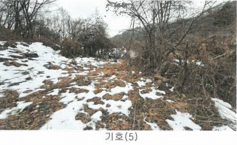 2024타경406579 강원특별자치도 원주시 지정면 판대리 370-5 근린주택 경매 이미지