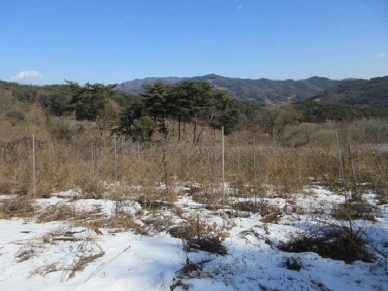 2025타경22 경상북도 문경시 동로면 인곡리 892 농지 경매 이미지