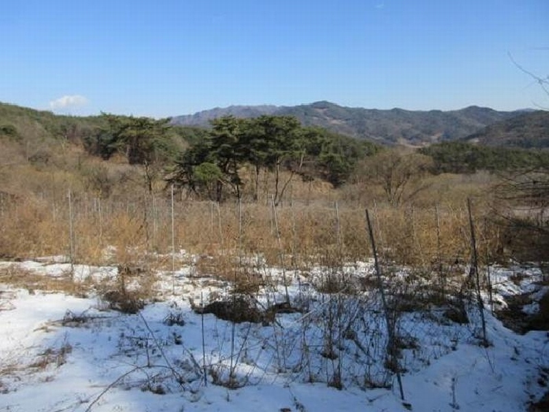 2025타경22 경상북도 문경시 동로면 인곡리 892 농지 경매 이미지