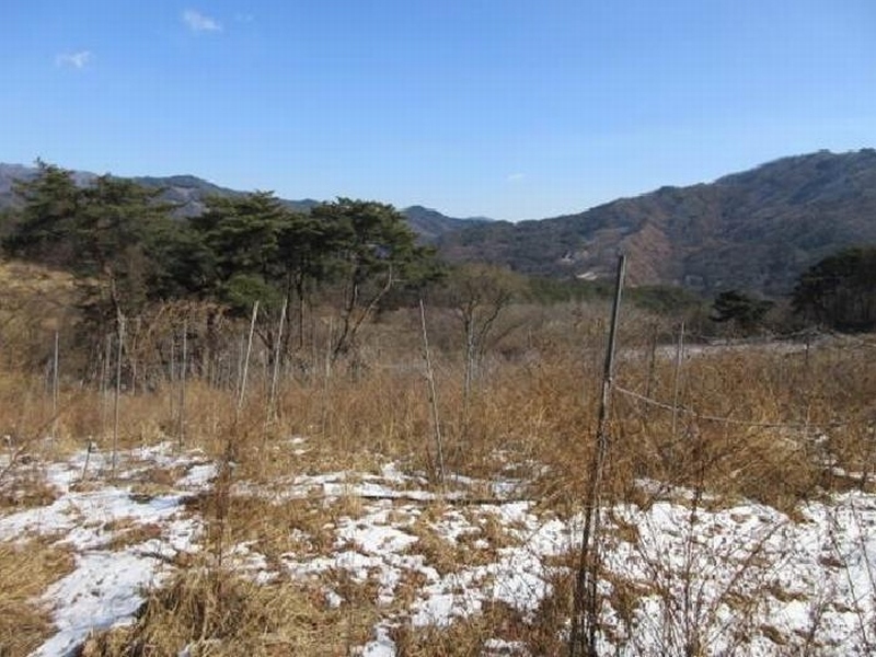 2025타경22 경상북도 문경시 동로면 인곡리 892 농지 경매 이미지