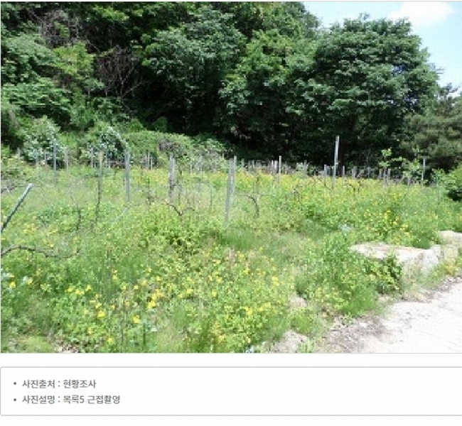 2025타경831 강원특별자치도 원주시 흥업면 대안리 619 주택 경매 이미지