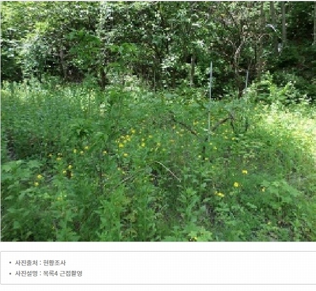 2025타경831 강원특별자치도 원주시 흥업면 대안리 619 주택 경매 이미지