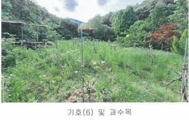 2025타경831 강원특별자치도 원주시 흥업면 대안리 619 주택 경매 이미지