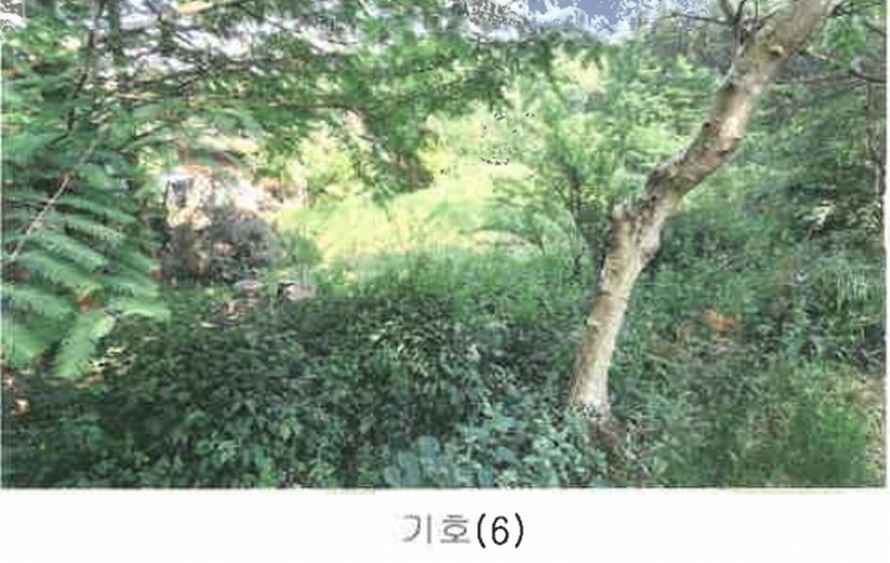 2025타경831 강원특별자치도 원주시 흥업면 대안리 619 주택 경매 이미지