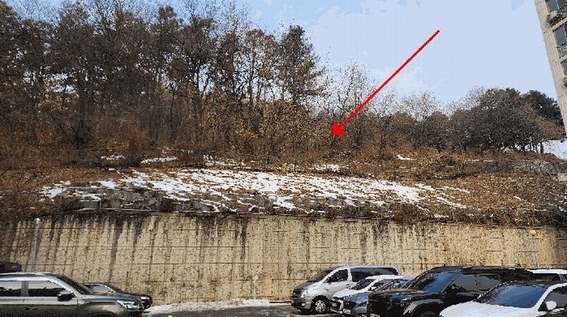 2025타경20248 강원특별자치도 원주시 문막읍 동화리 산167 임야 경매 이미지