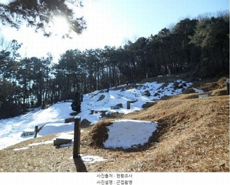 2025타경20248 강원특별자치도 원주시 문막읍 동화리 산167 임야 경매 이미지