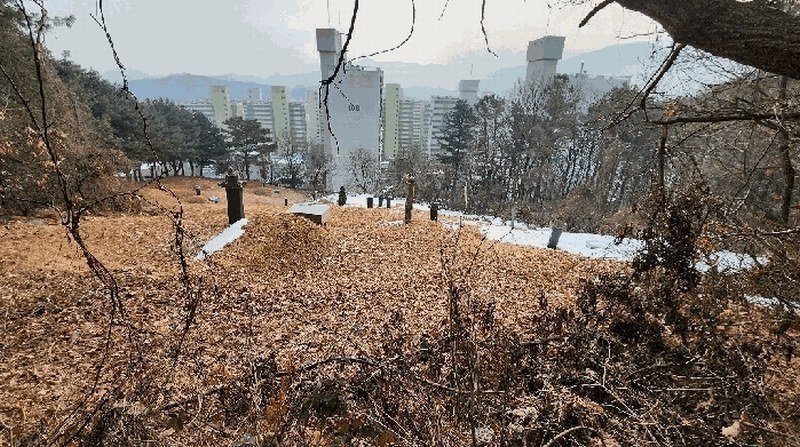 2025타경20248 강원특별자치도 원주시 문막읍 동화리 산167 임야 경매 이미지