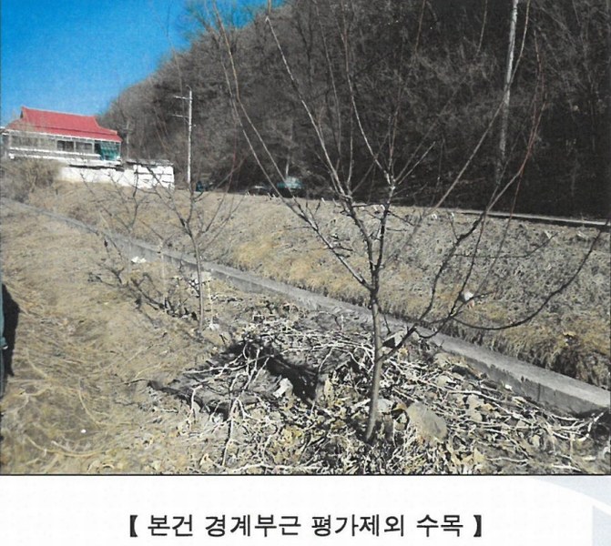 2025타경20279 강원특별자치도 원주시 문막읍 포진리 950 농지 경매 이미지
