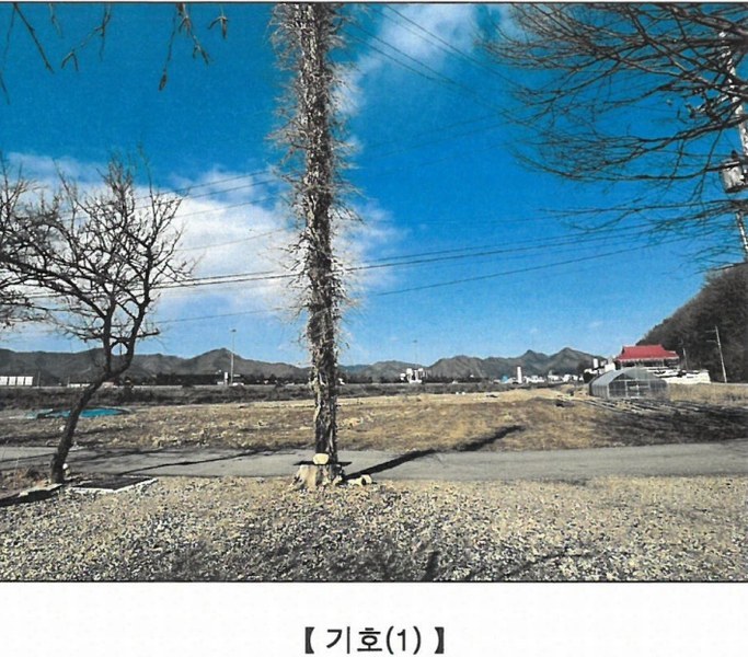 2025타경20279 강원특별자치도 원주시 문막읍 포진리 950 농지 경매 이미지