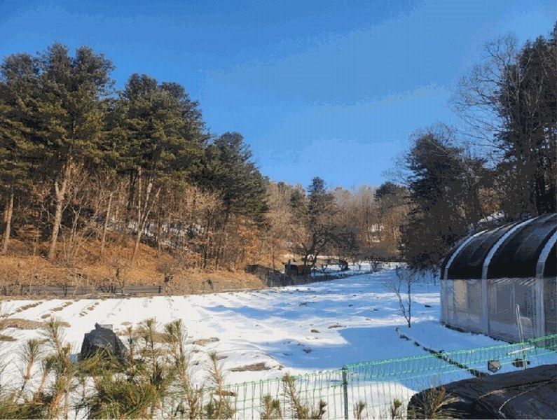 2025타경20385 강원특별자치도 원주시 소초면 평장리 산135 임야 경매 이미지