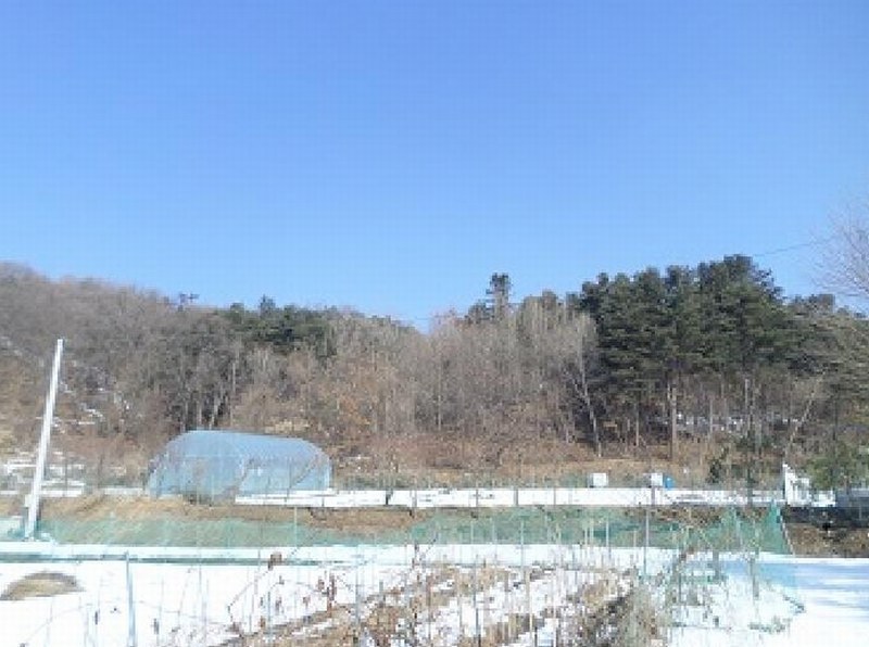 2025타경20385 강원특별자치도 원주시 소초면 평장리 산135 임야 경매 이미지