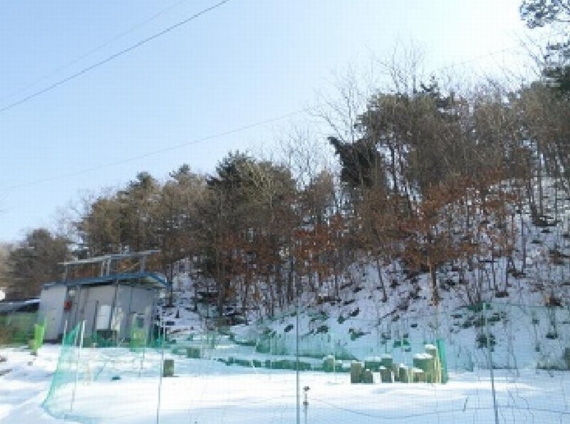 2025타경20385 강원특별자치도 원주시 소초면 평장리 산135 임야 경매 이미지