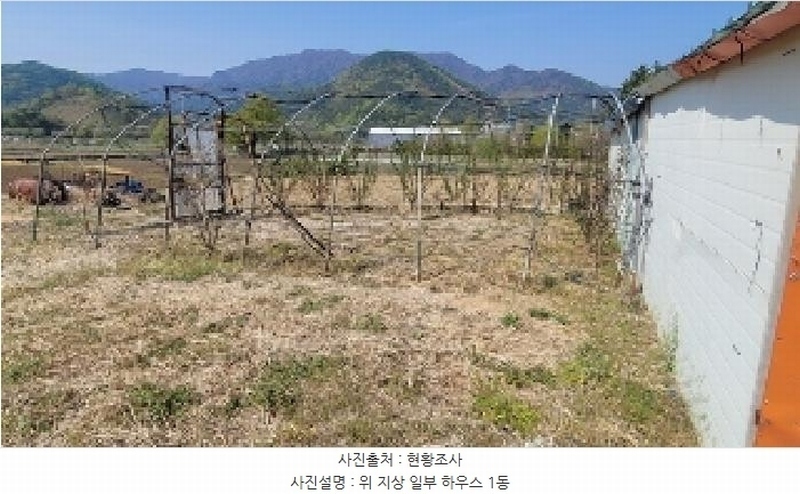 2025타경20464 경상남도 함안군 함안면 강명리 513 농지 경매 이미지