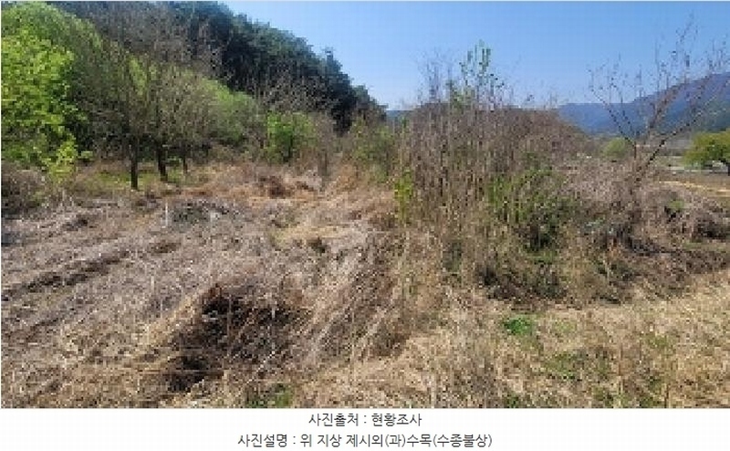 2025타경20464 경상남도 함안군 함안면 강명리 513 농지 경매 이미지