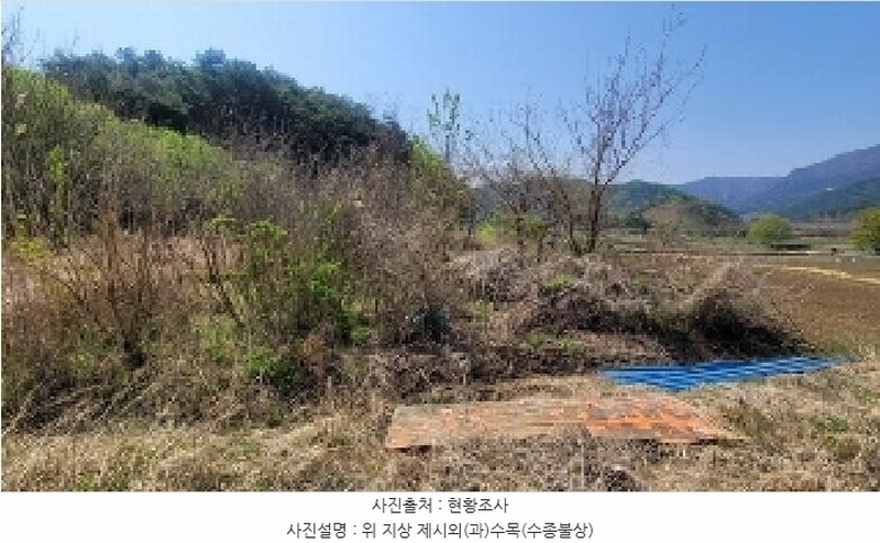 2025타경20464 경상남도 함안군 함안면 강명리 513 농지 경매 이미지