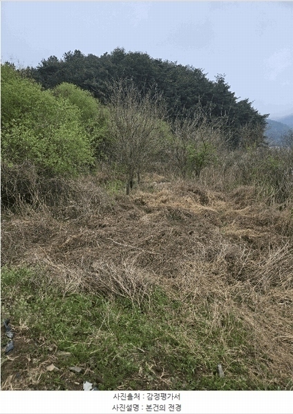 2025타경20464 경상남도 함안군 함안면 강명리 513 농지 경매 이미지