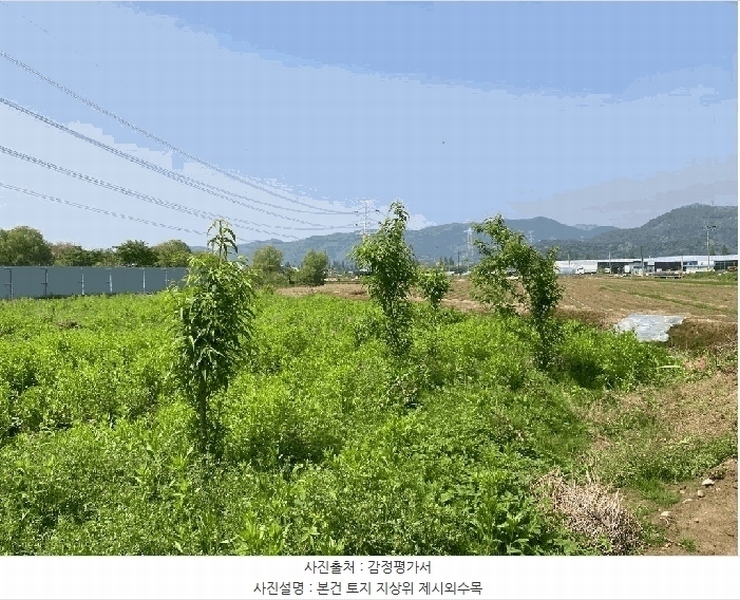 2025타경20542 경상남도 함안군 군북면 월촌리 886-2 농지 경매 이미지