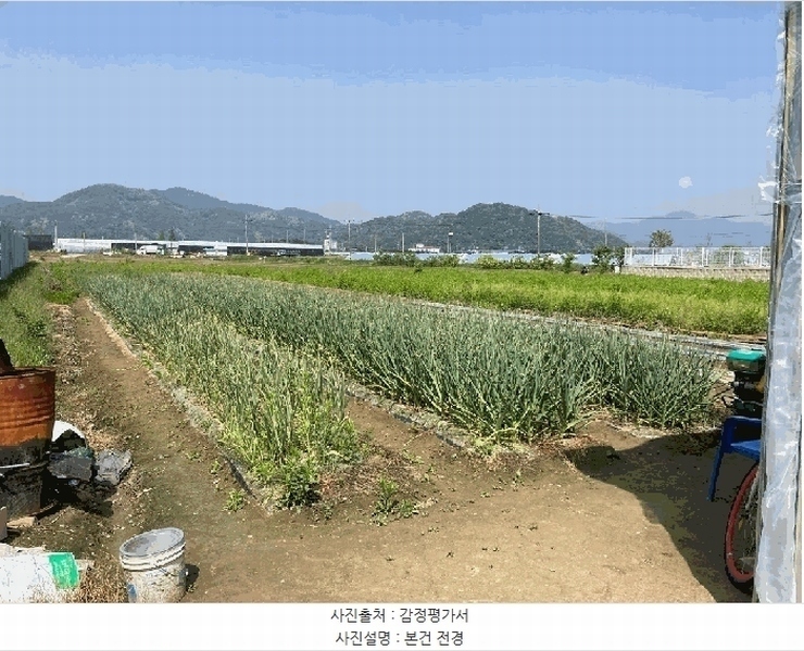2025타경20542 경상남도 함안군 군북면 월촌리 886-2 농지 경매 이미지