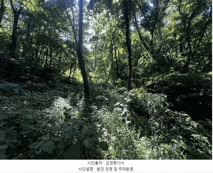 2025타경20636 경상남도 창원시 마산합포구 진동면 신기리 631 농지 경매 이미지